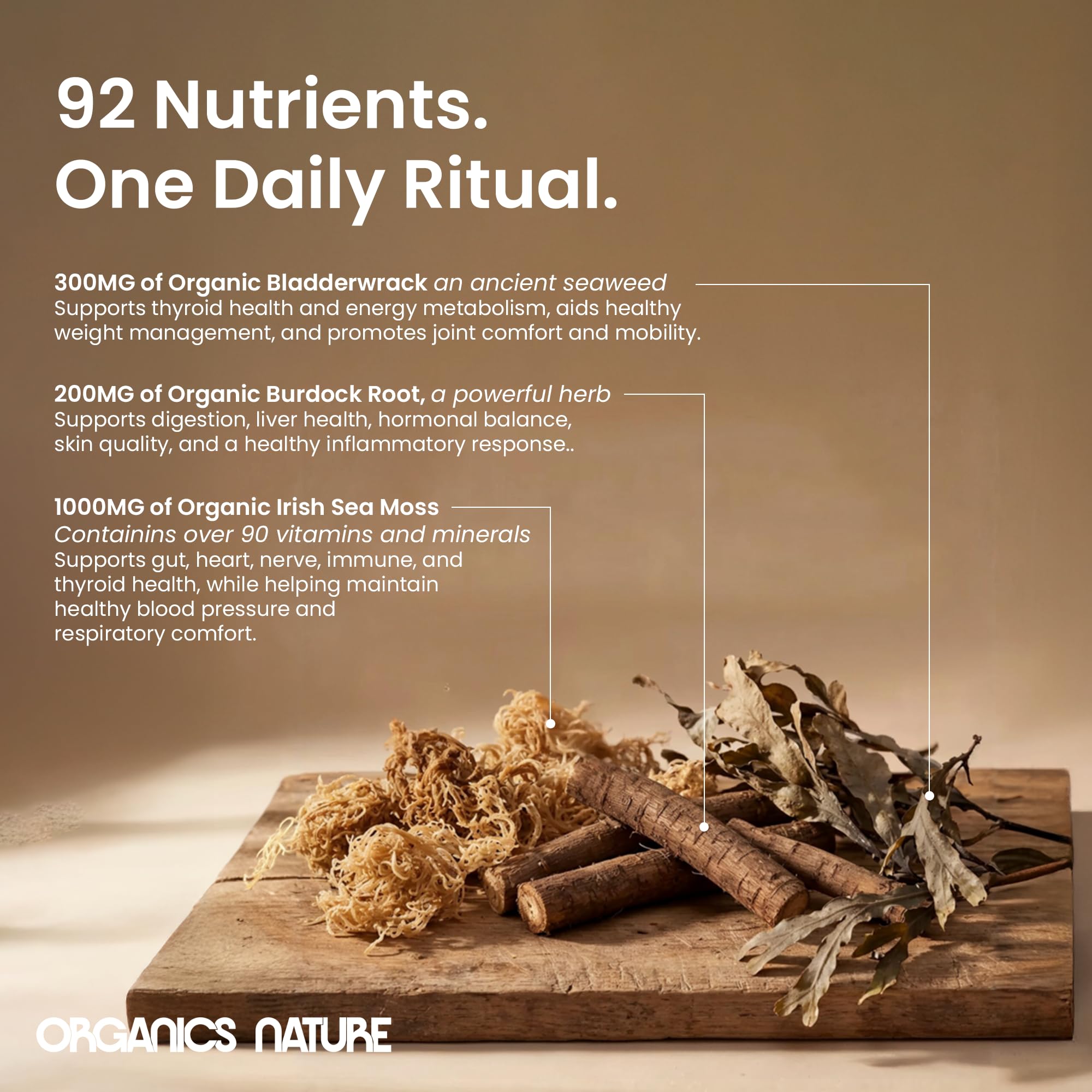 Ingredients list of ORGANICS NATURE Sea Moss Capsules