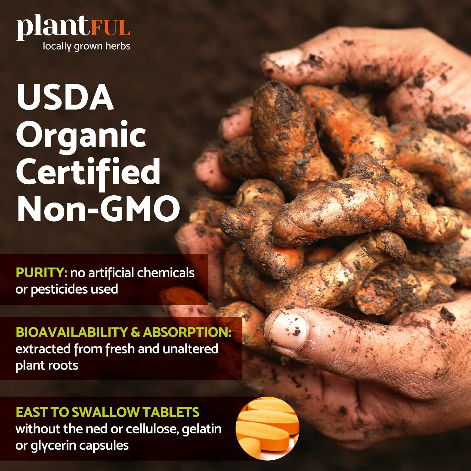 Ingredients list of PLANTFUL RESEARCH Organic Turmeric Curcumin Tablets