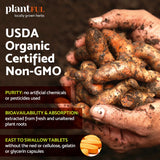 Ingredients list of PLANTFUL RESEARCH Organic Turmeric Curcumin Tablets