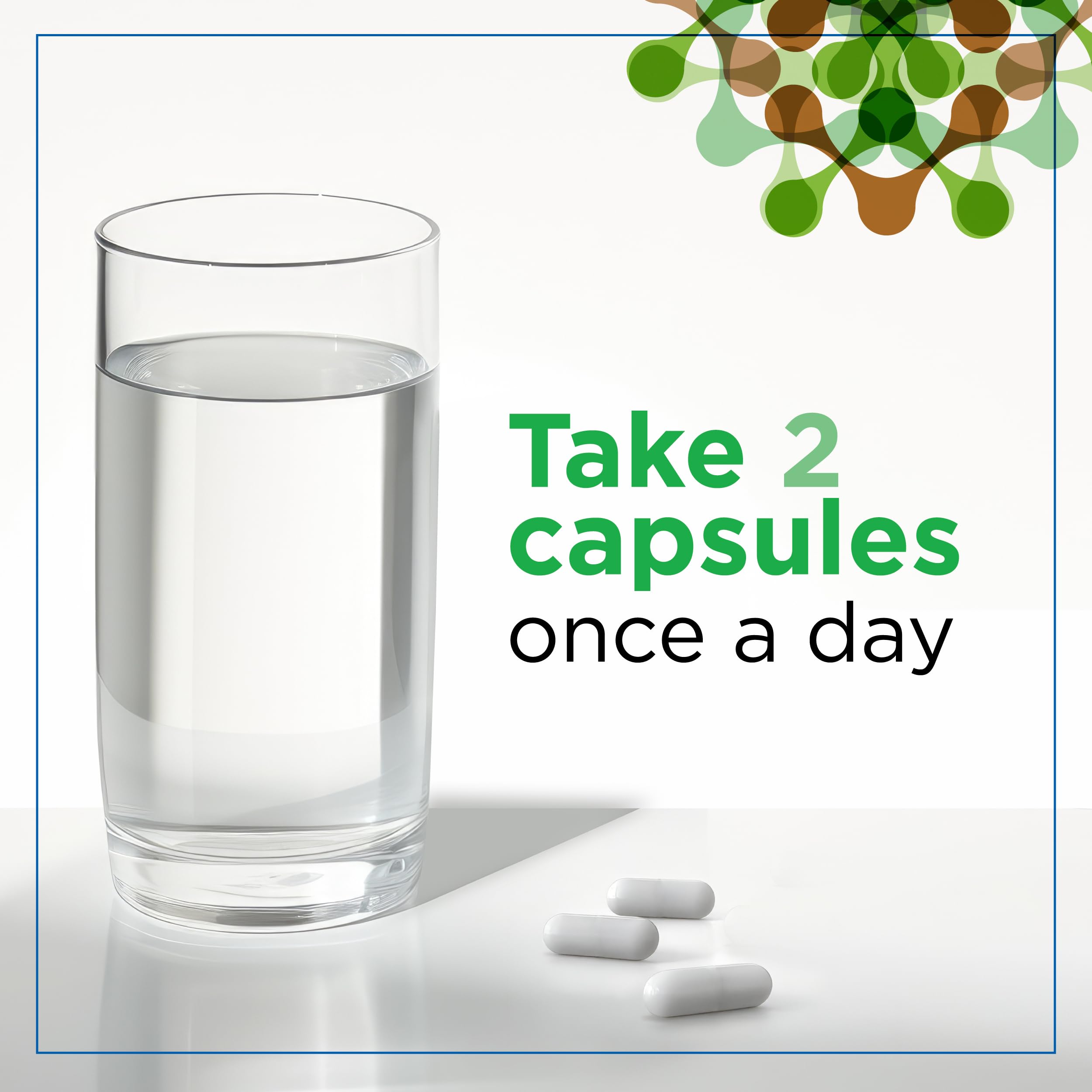 Ingredients list of Plantvital Organic Lion’s Mane Mushroom Capsules