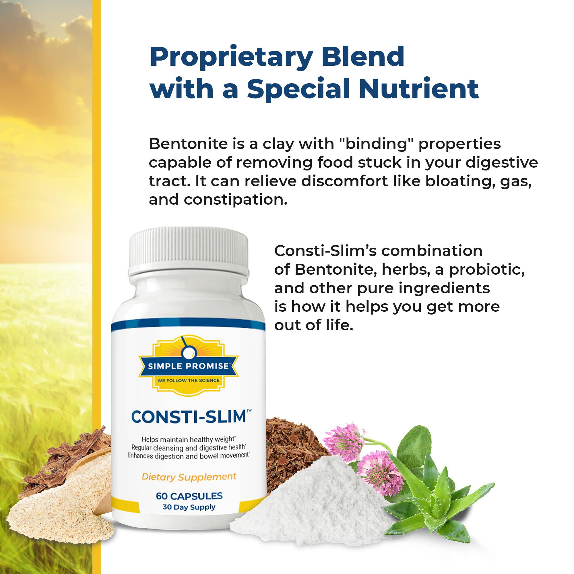 Ingredients list of Simple Promise Consti-Slim supplement
