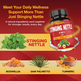 Ingredients list on Papnami Stinging Nettle Supplement