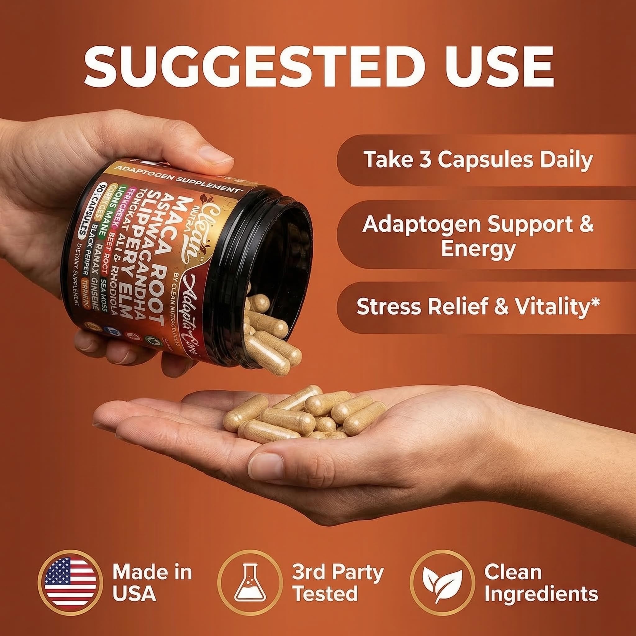 Ingredients of Clean Nutraceuticals Maca Root Capsules