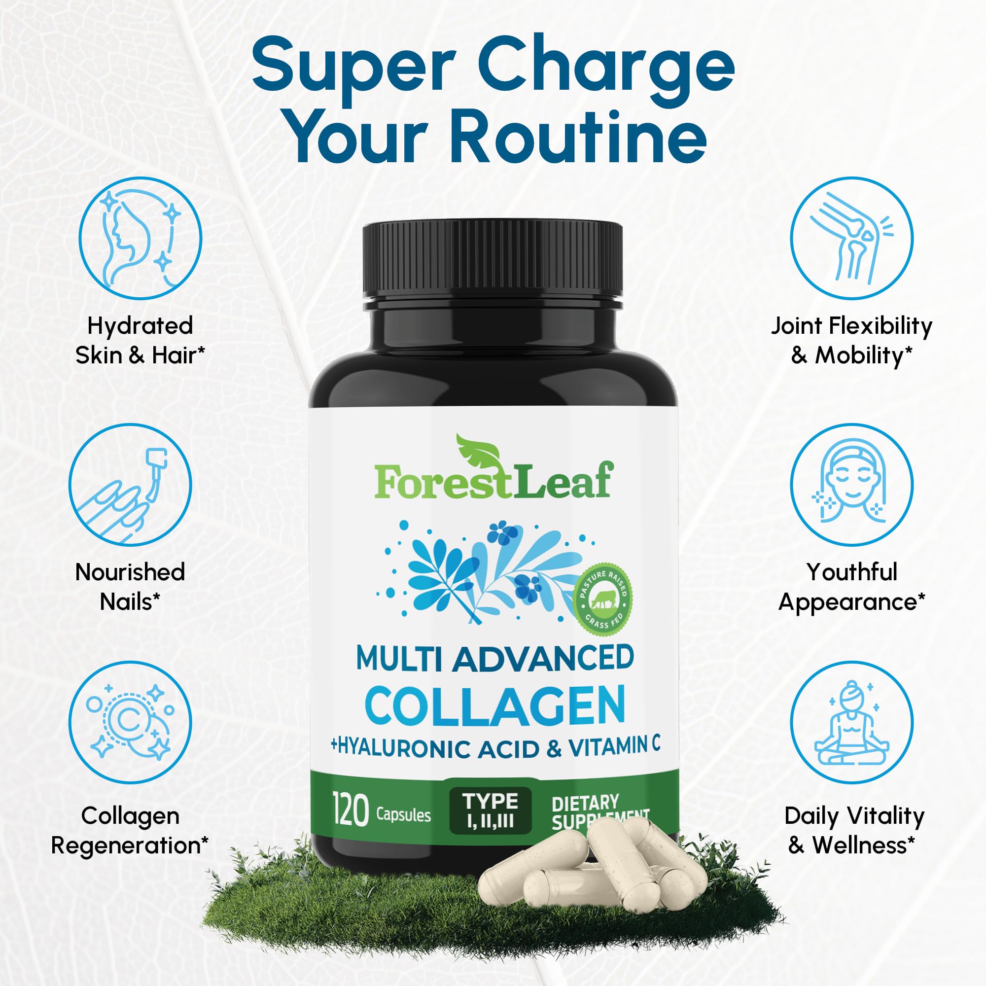 Ingredients of ForestLeaf Collagen Supplement