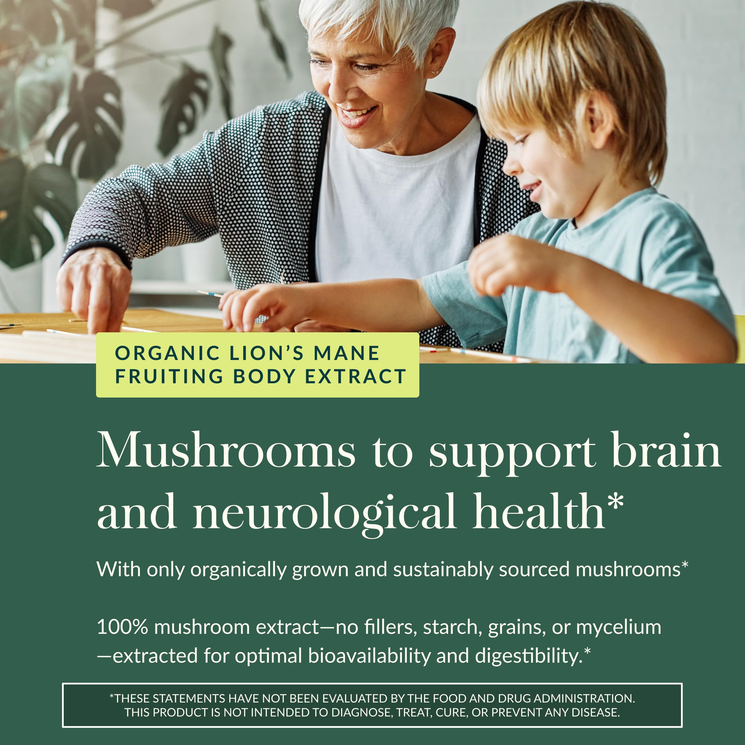 Ingredients of Gaia Herbs Lion's Mane Mushroom Gummies