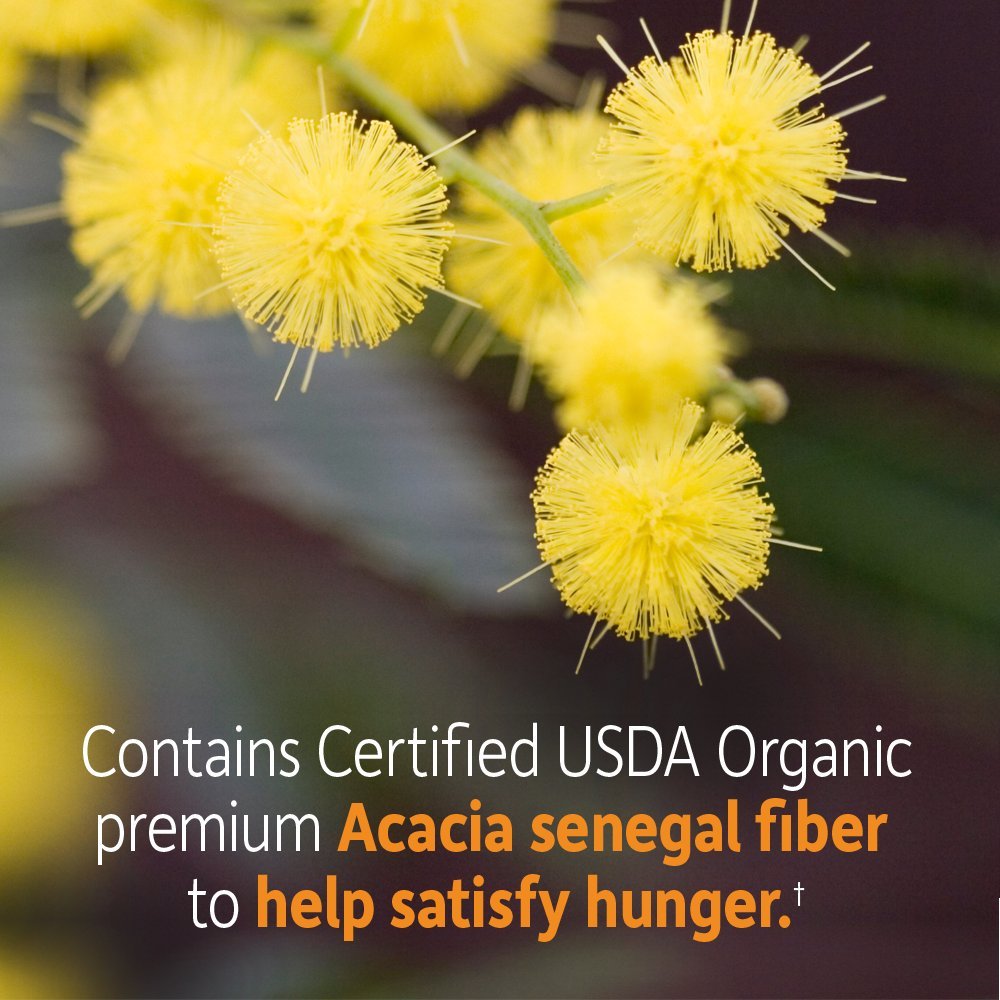 Ingredients of Garden of Life Organic Prebiotic Fiber Powder