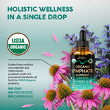 Ingredients of NUTRAHARMONY Organic Lymphatic Drops