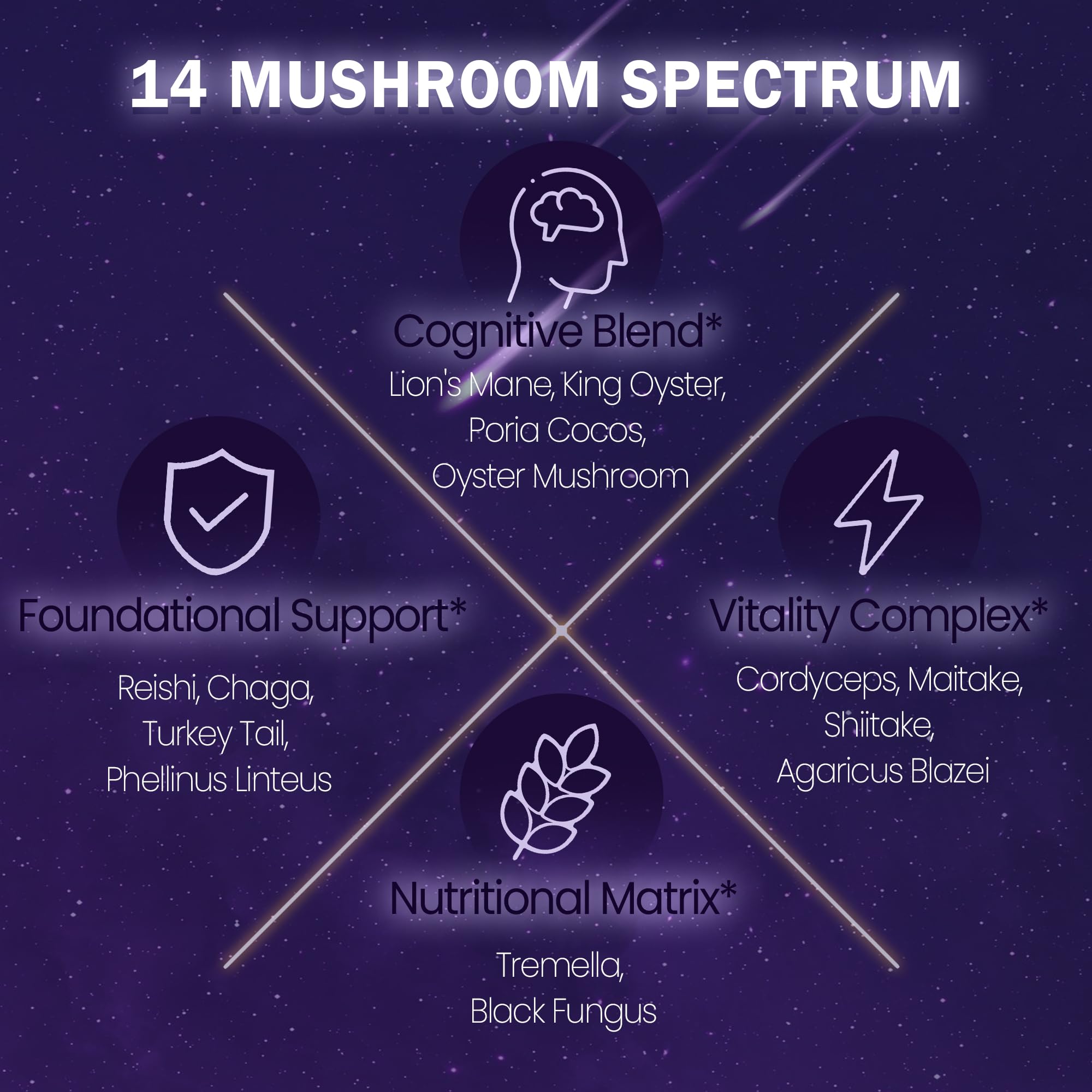 Ingredients of NUTRATASTE Mushroom Hot Cocoa displayed