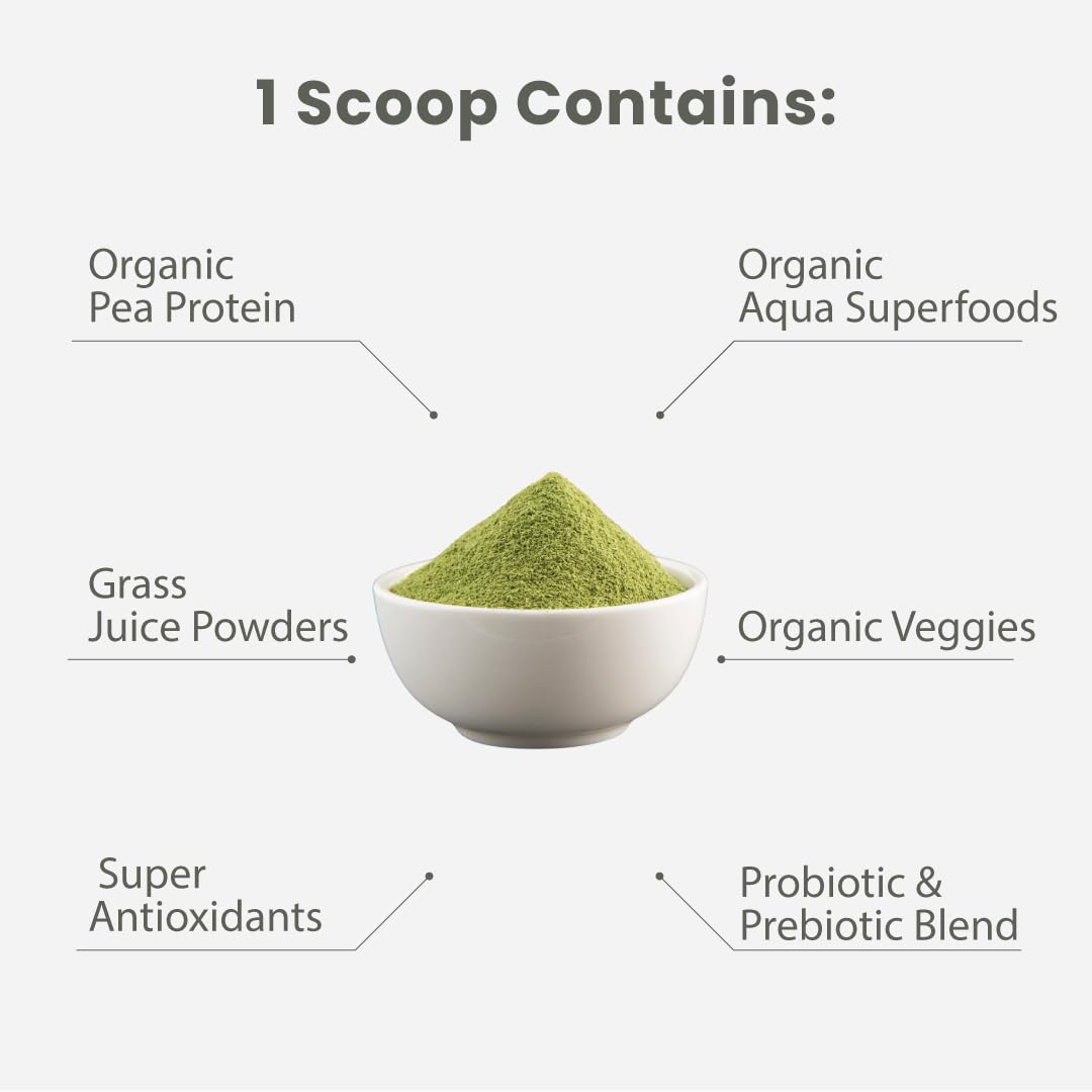 Ingredients of Paradise Herbs Protein & Superfoods Blend displayed