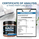 Ingredients of Rainbow Nutrients NAD+ Supplement