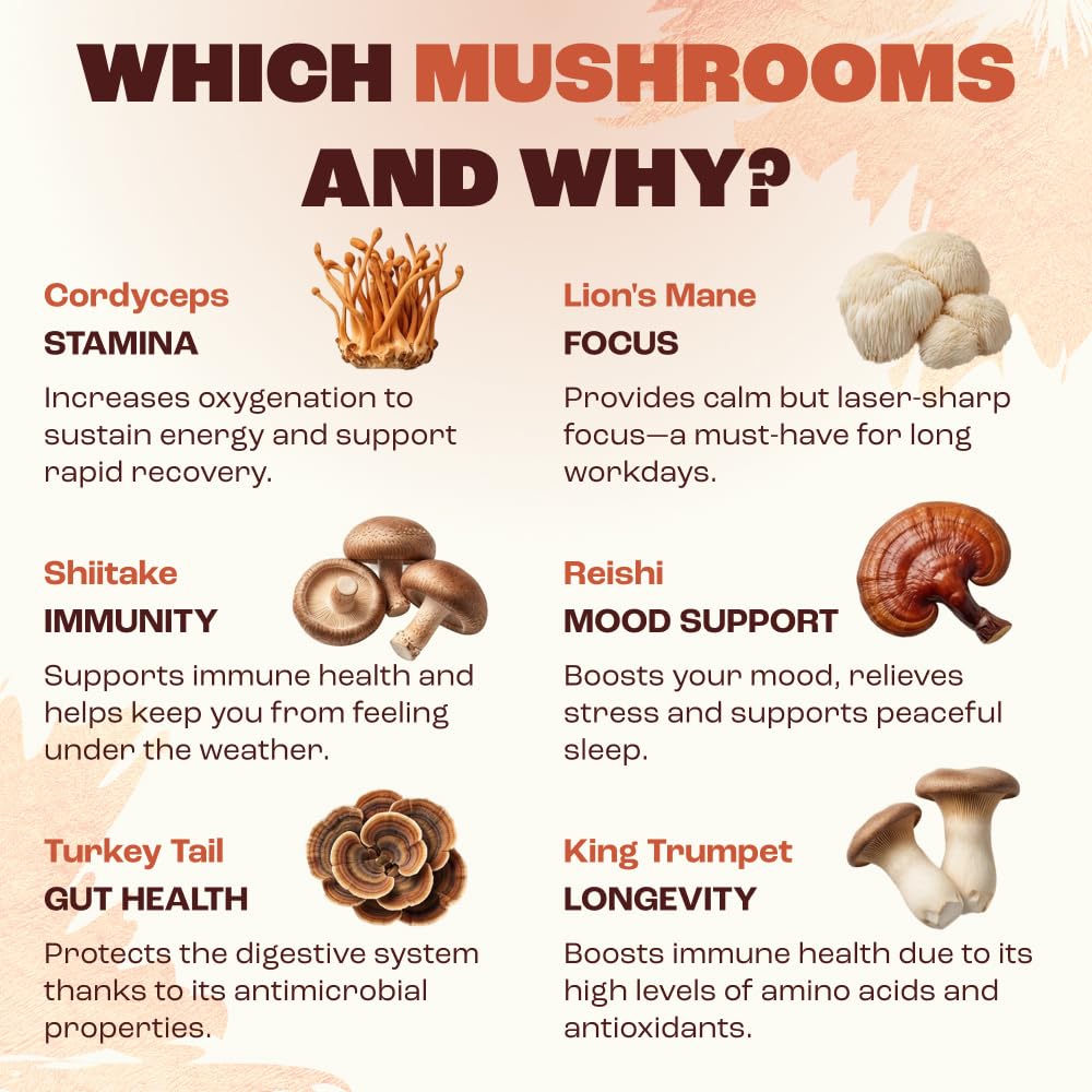 Ingredients of RYZE Mushroom Coffee displayed