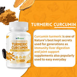 inGreens Liposomal Turmeric Supplement back view with ingredient list