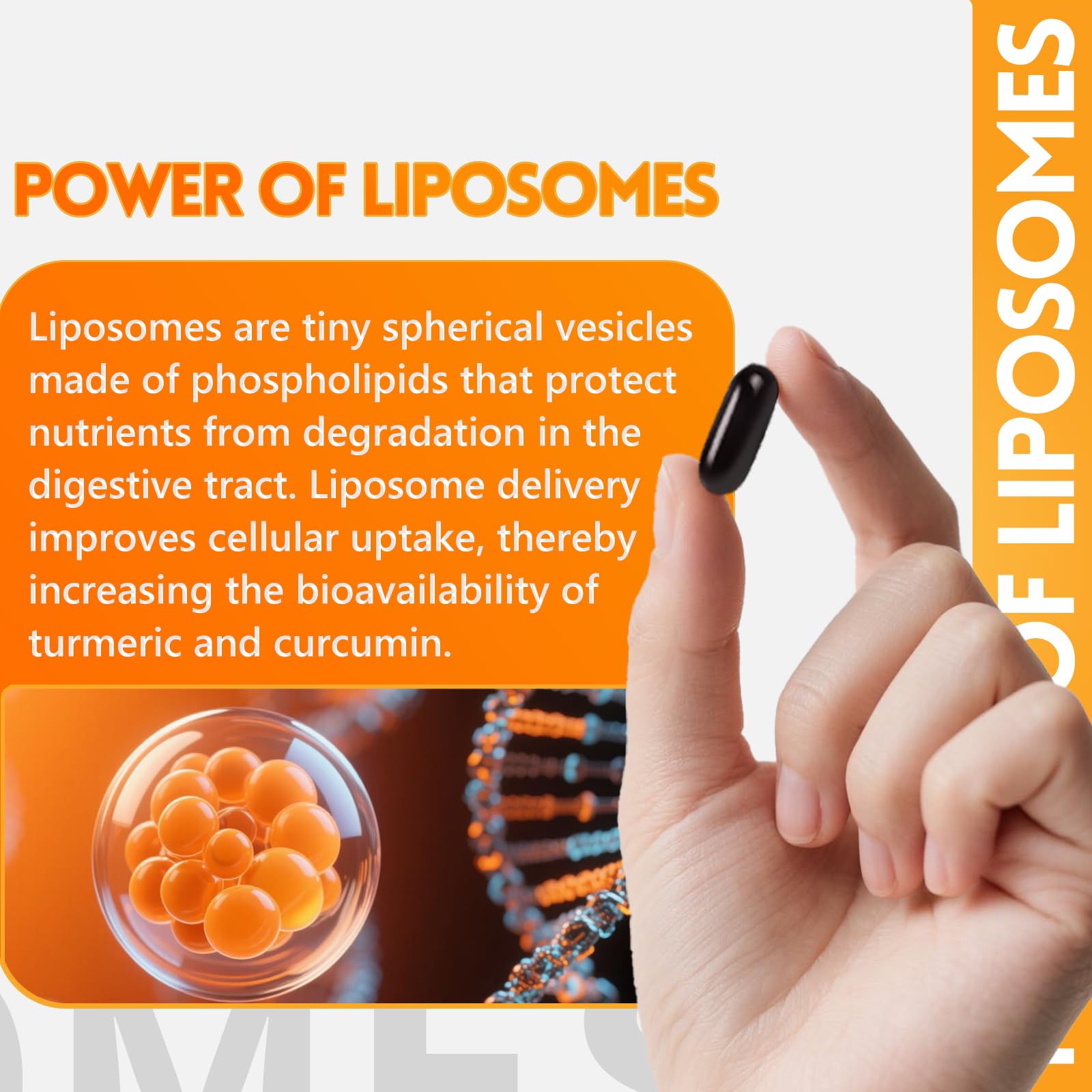 inGreens Liposomal Turmeric Supplement displayed with organic turmeric root