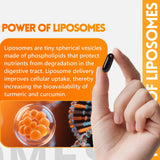 inGreens Liposomal Turmeric Supplement displayed with organic turmeric root