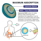 inGreens NAD+ Resveratrol softgels dosage information