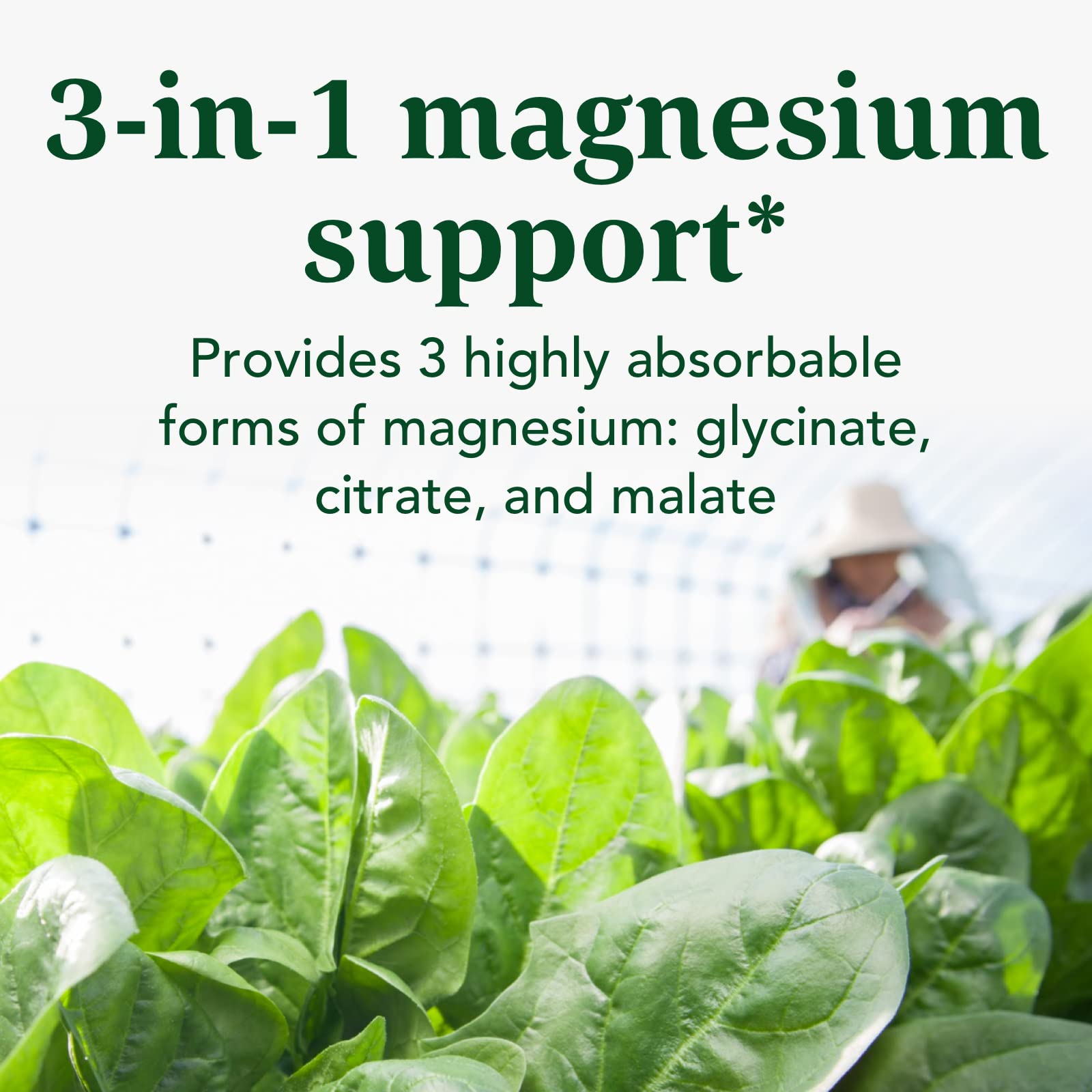 INNATE Magnesium Supplement 300mg capsules on a wooden table
