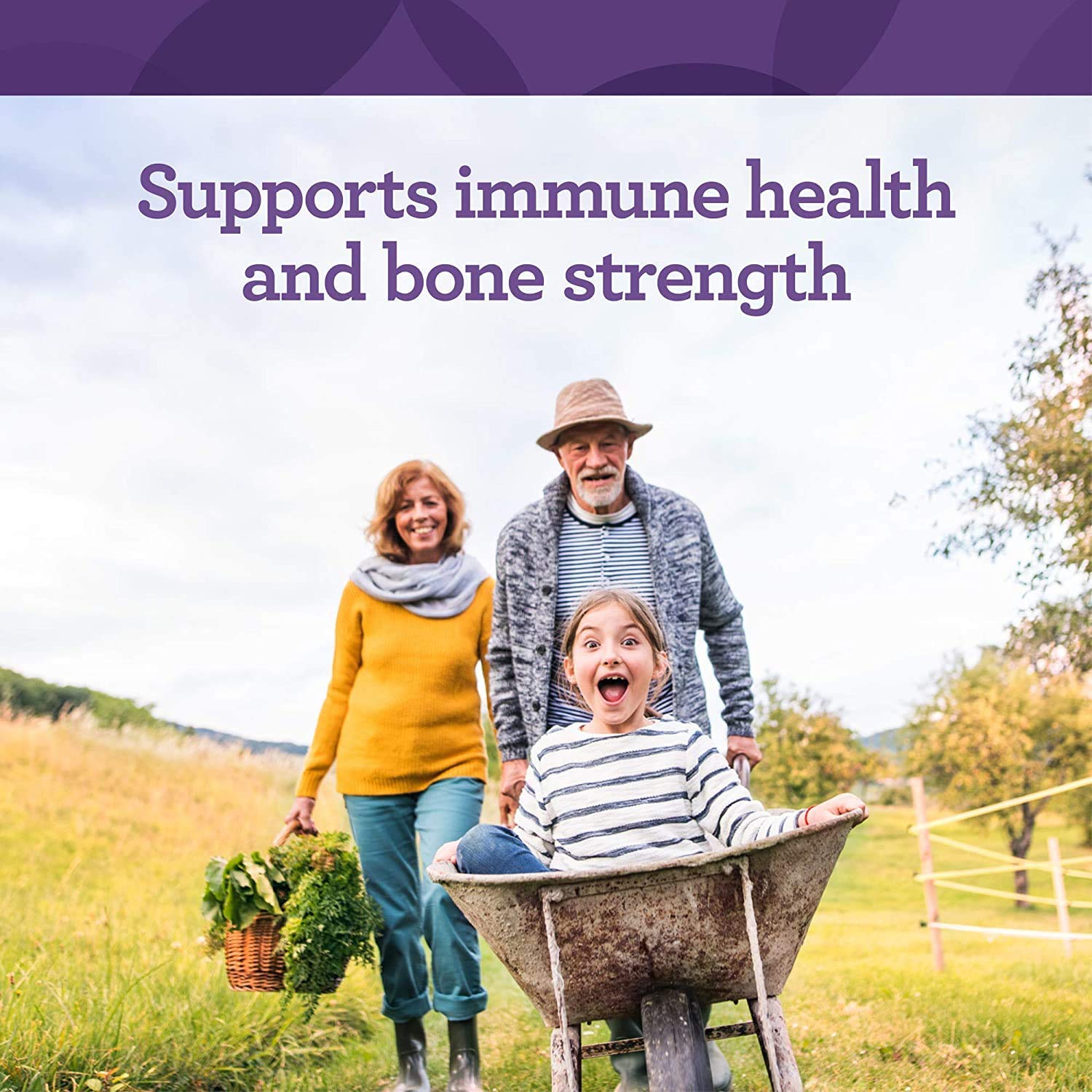 Innate Response Formulas Vitamin D3 & K2 Supplement ingredients list