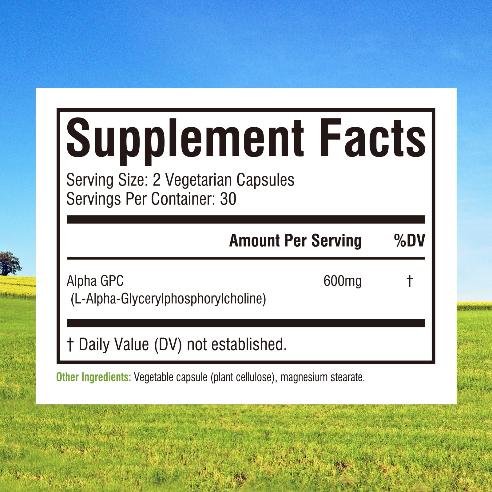 Innate Vitality Alpha GPC Choline Supplement 50g side view