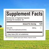 Innate Vitality Alpha GPC Choline Supplement 50g side view