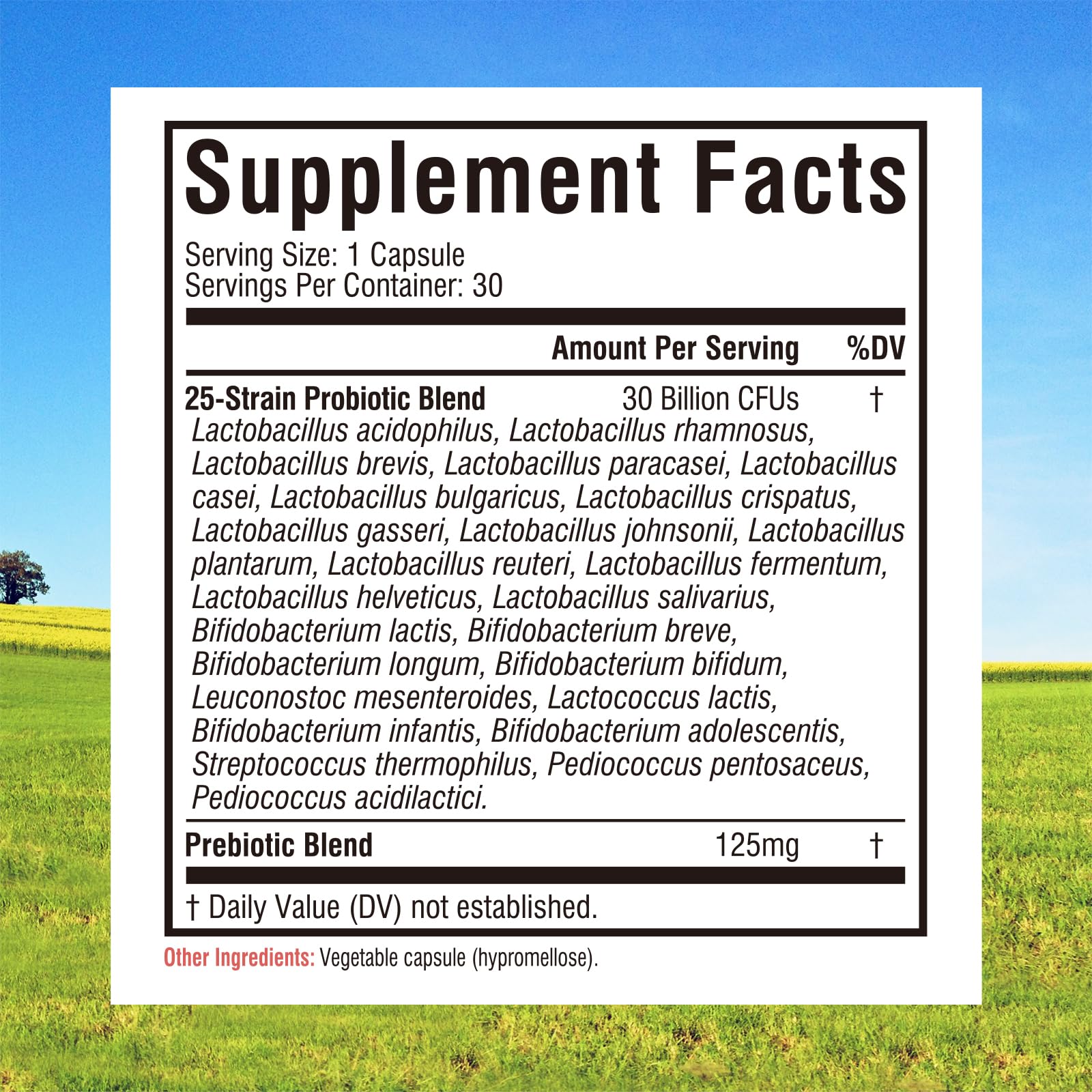 Innate Vitality Daily Probiotics 30B CFU capsules side view