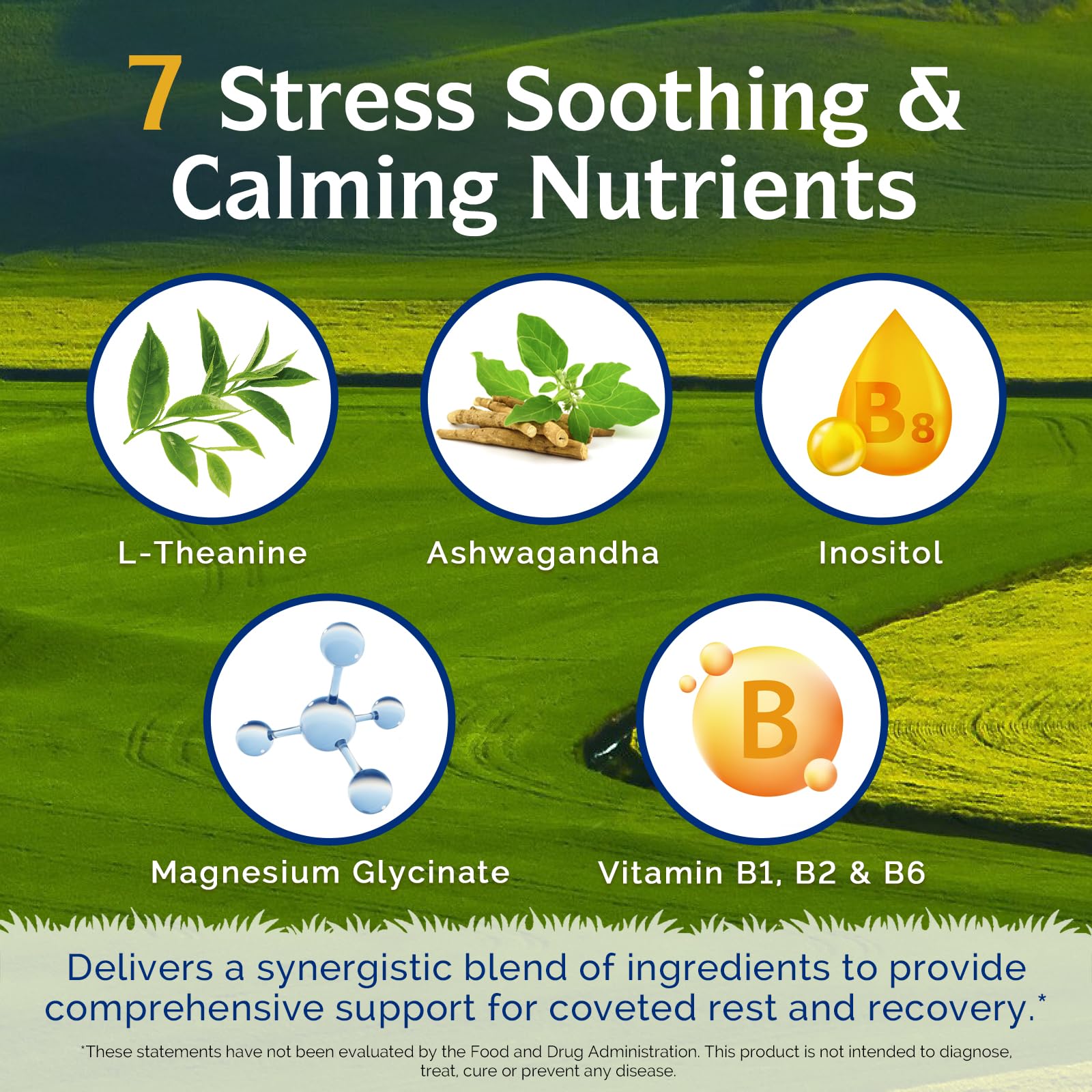 Innate Vitality Magnesium 7-in-1 Day & Night Support supplement ingredients list