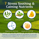 Innate Vitality Magnesium 7-in-1 Day & Night Support supplement ingredients list
