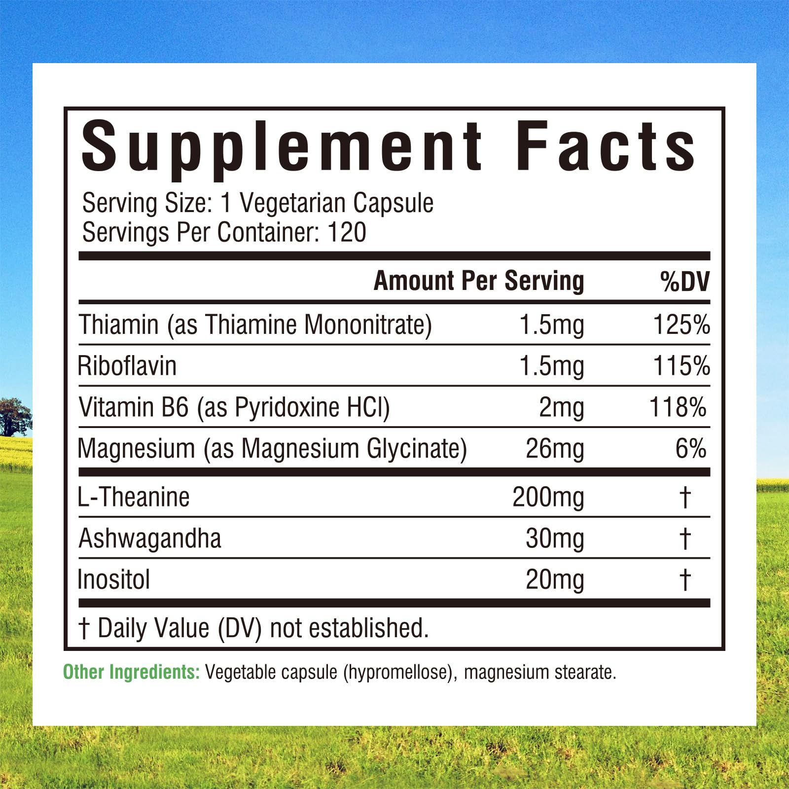 Innate Vitality Magnesium 7-in-1 Day & Night Support supplement side view