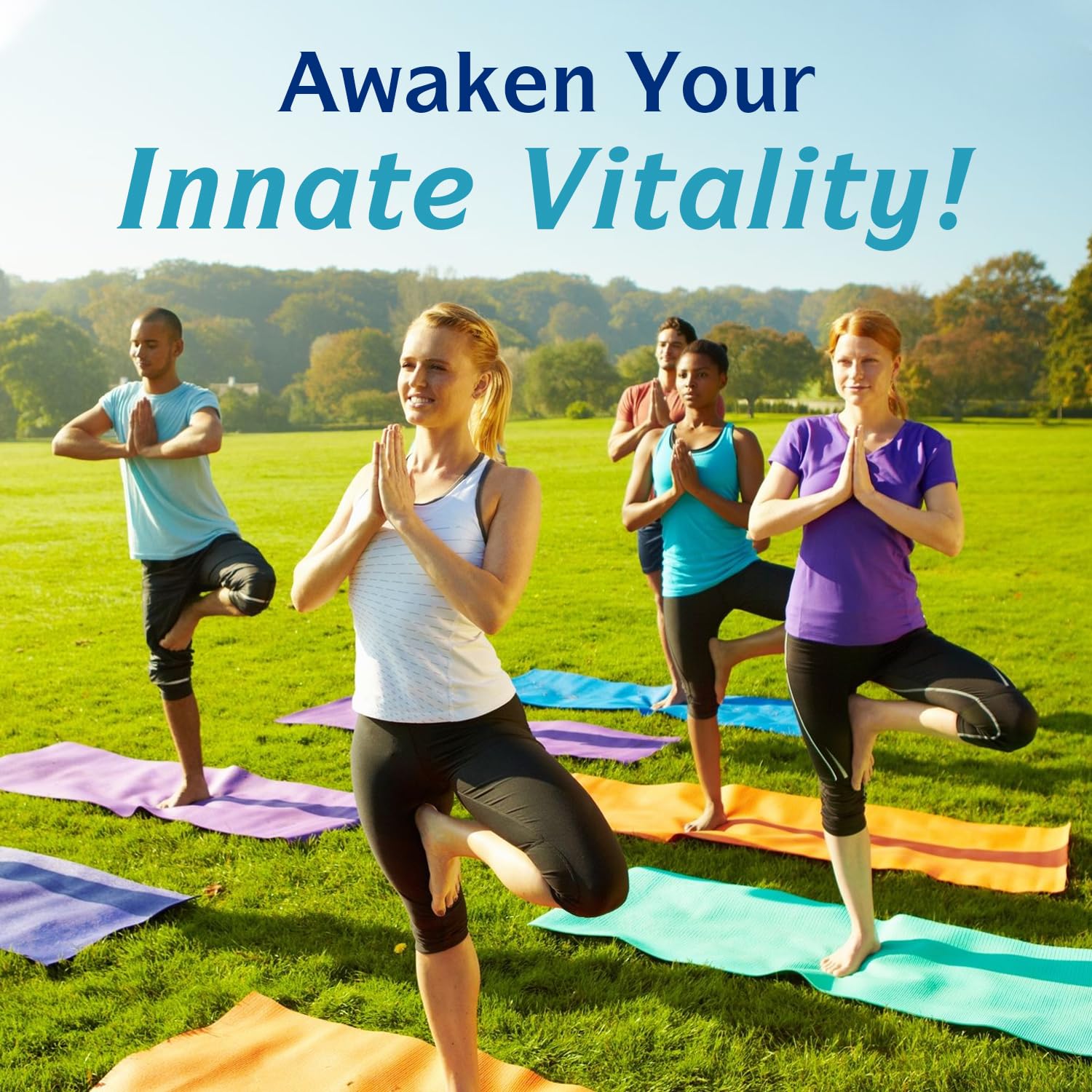Innate Vitality Magnesium Citrate 420mg in a lifestyle setting