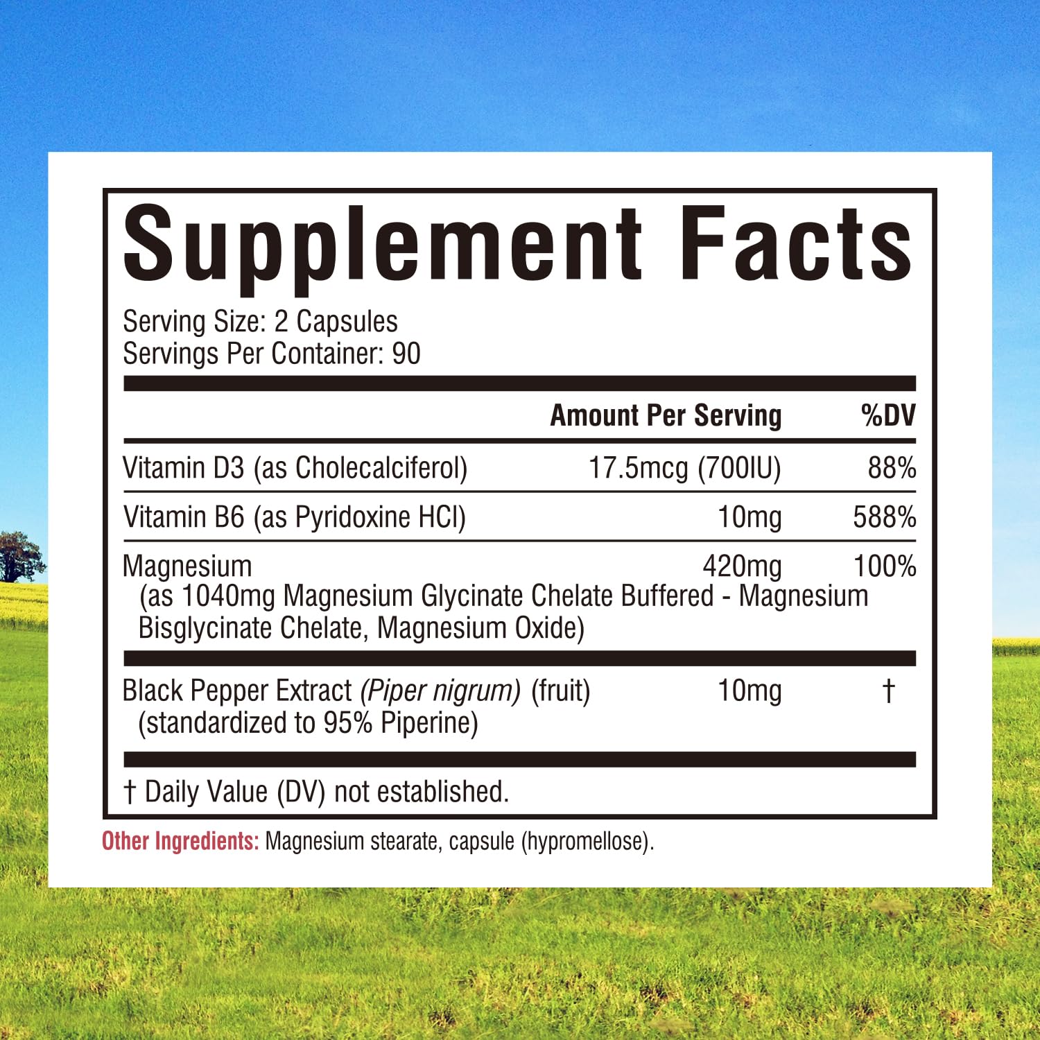 Innate Vitality Magnesium Glycinate + 420mg capsules back view