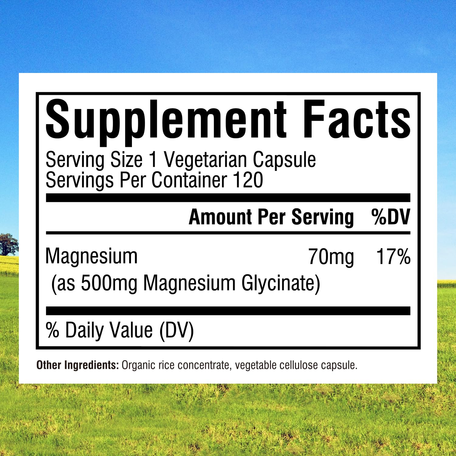 Innate Vitality Magnesium Glycinate 500mg supplement side view