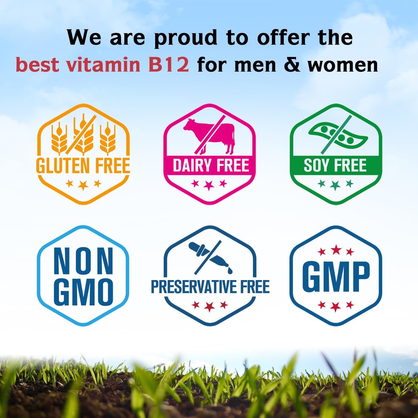 Innate Vitality Methyl B12 2500mcg ingredients list