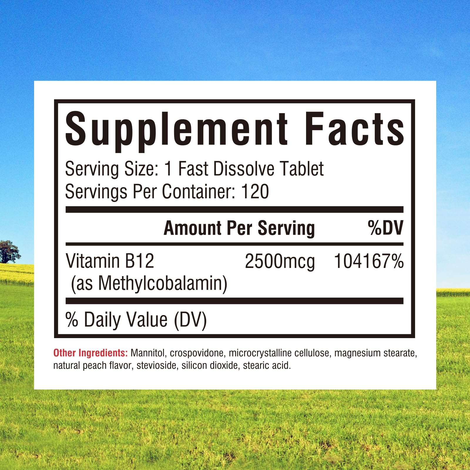 Innate Vitality Methyl B12 2500mcg packaging side view