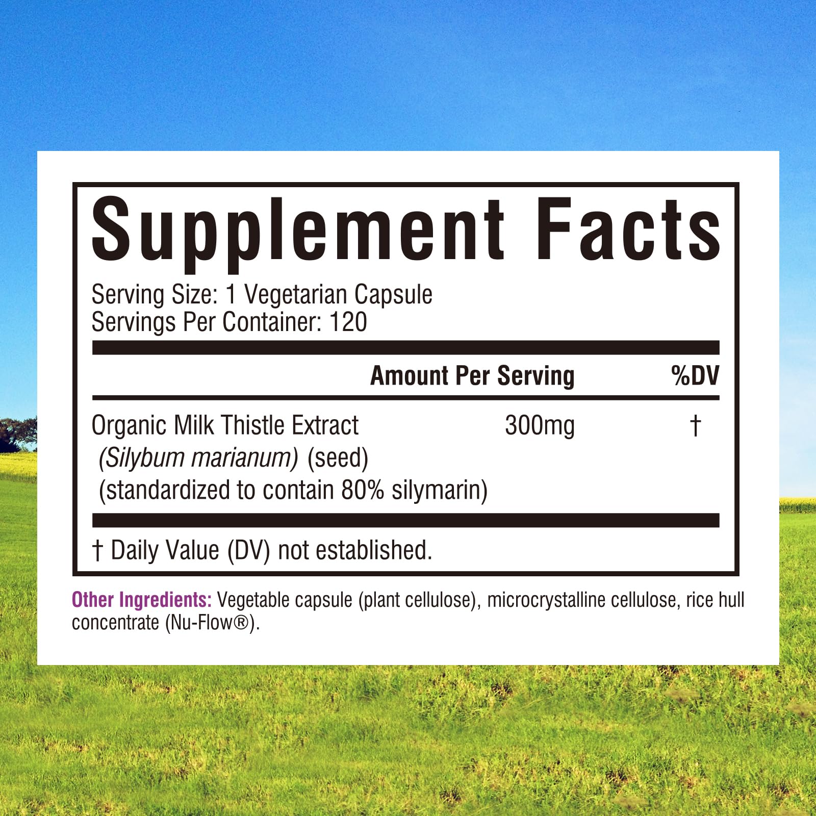 Innate Vitality Milk Thistle Extract capsule close-up