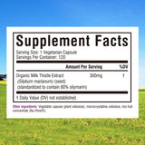 Innate Vitality Milk Thistle Extract capsule close-up