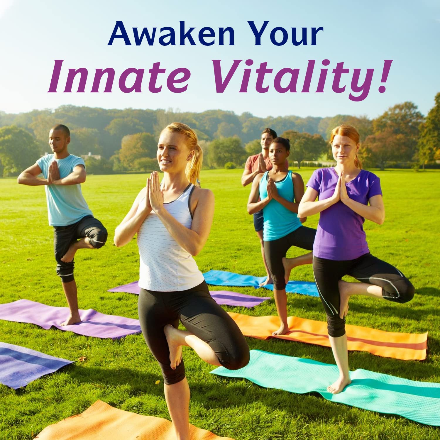 Innate Vitality Milk Thistle Extract nutritional information