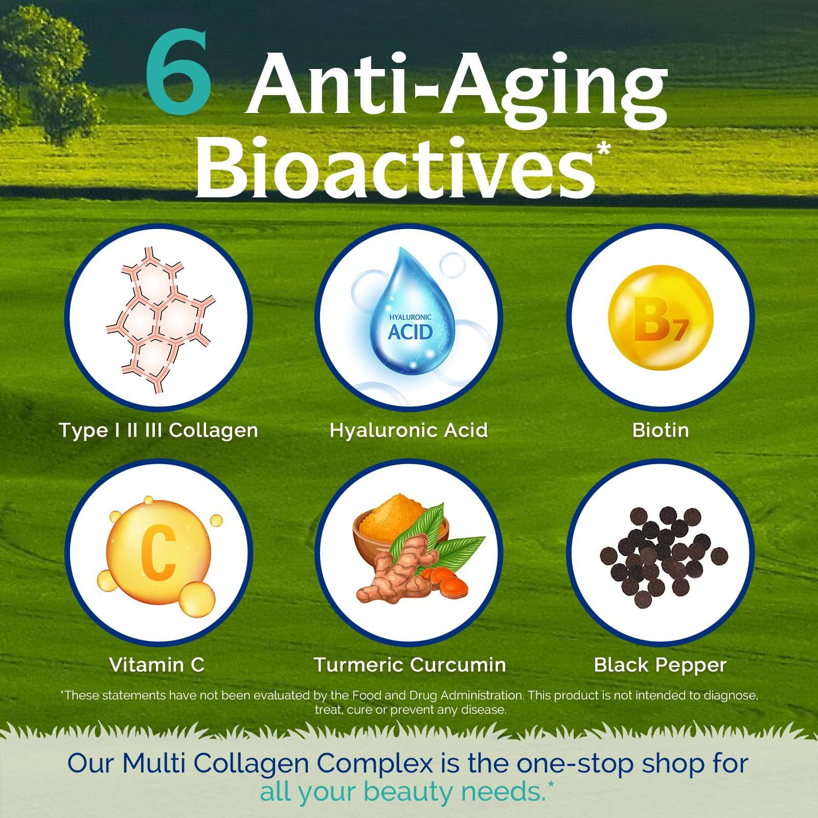 Innate Vitality Multi Collagen Complex 60 Capsules bottle with label