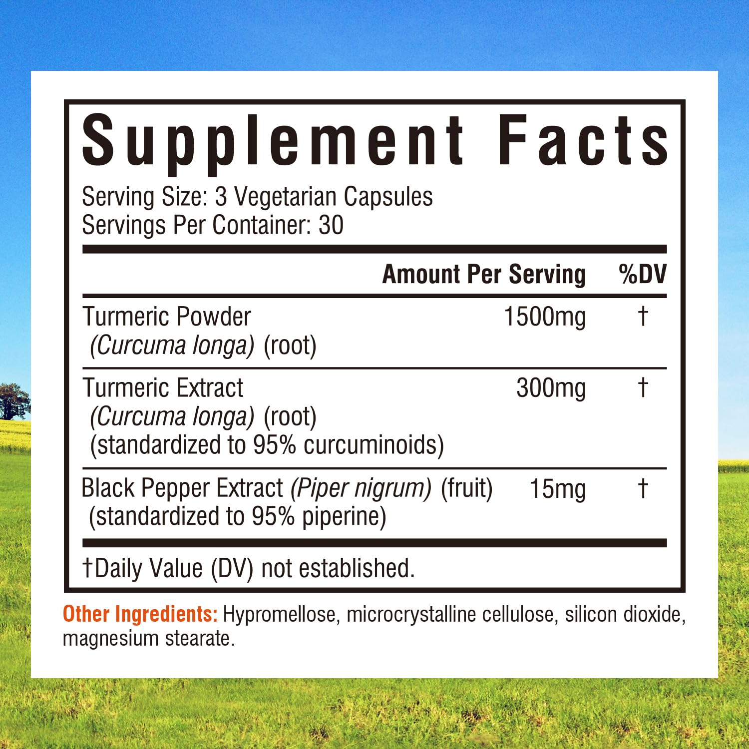 Innate Vitality Turmeric Curcumin 1500mg supplement back view