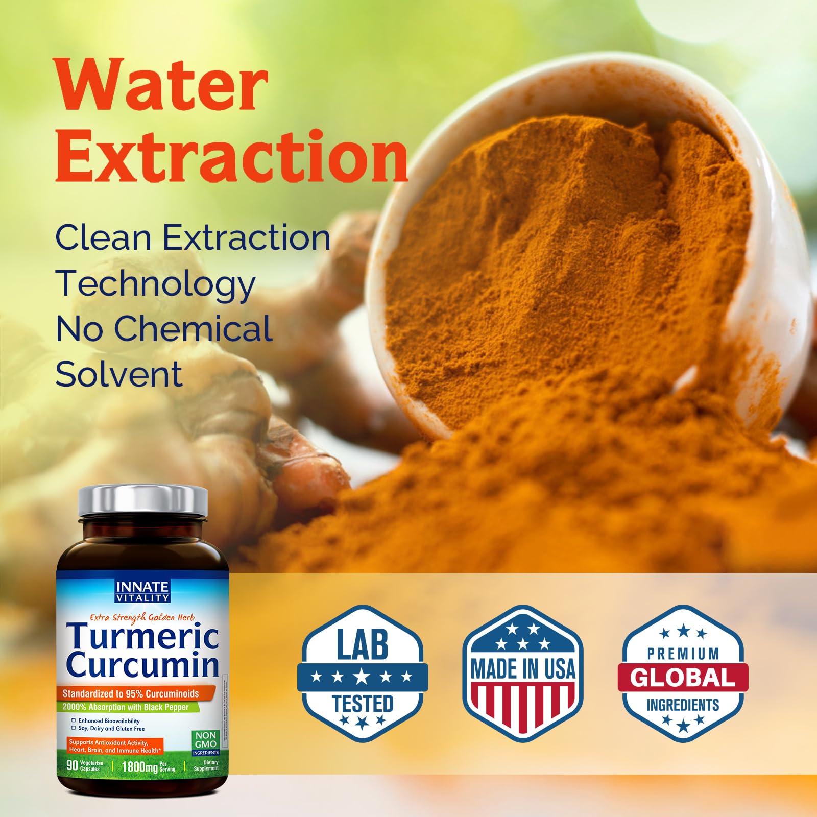Innate Vitality Turmeric Curcumin with black pepper ingredients list