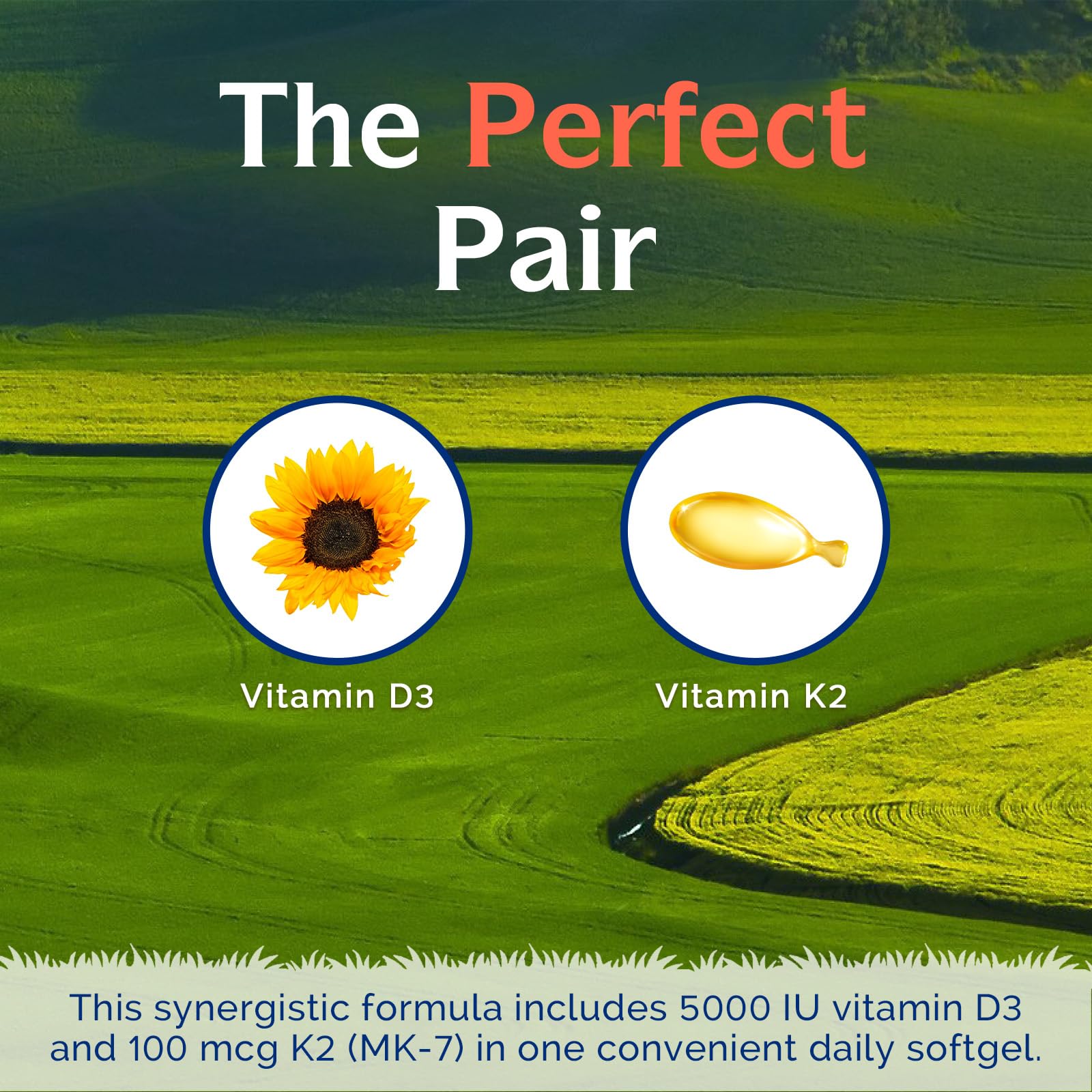 Innate Vitality Vitamin D3 & K2 softgels side view