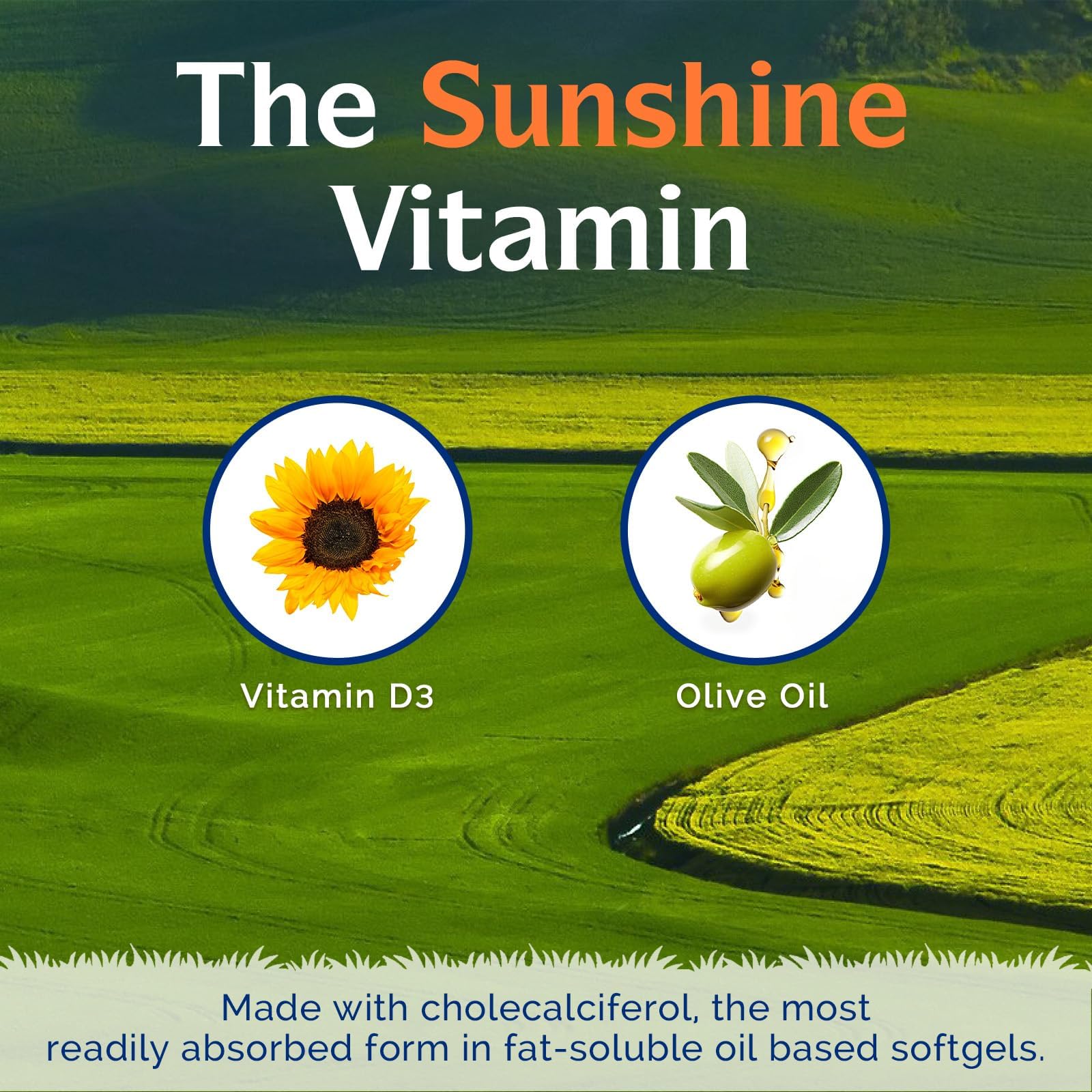 Innate Vitality Vitamin D3 packaging details
