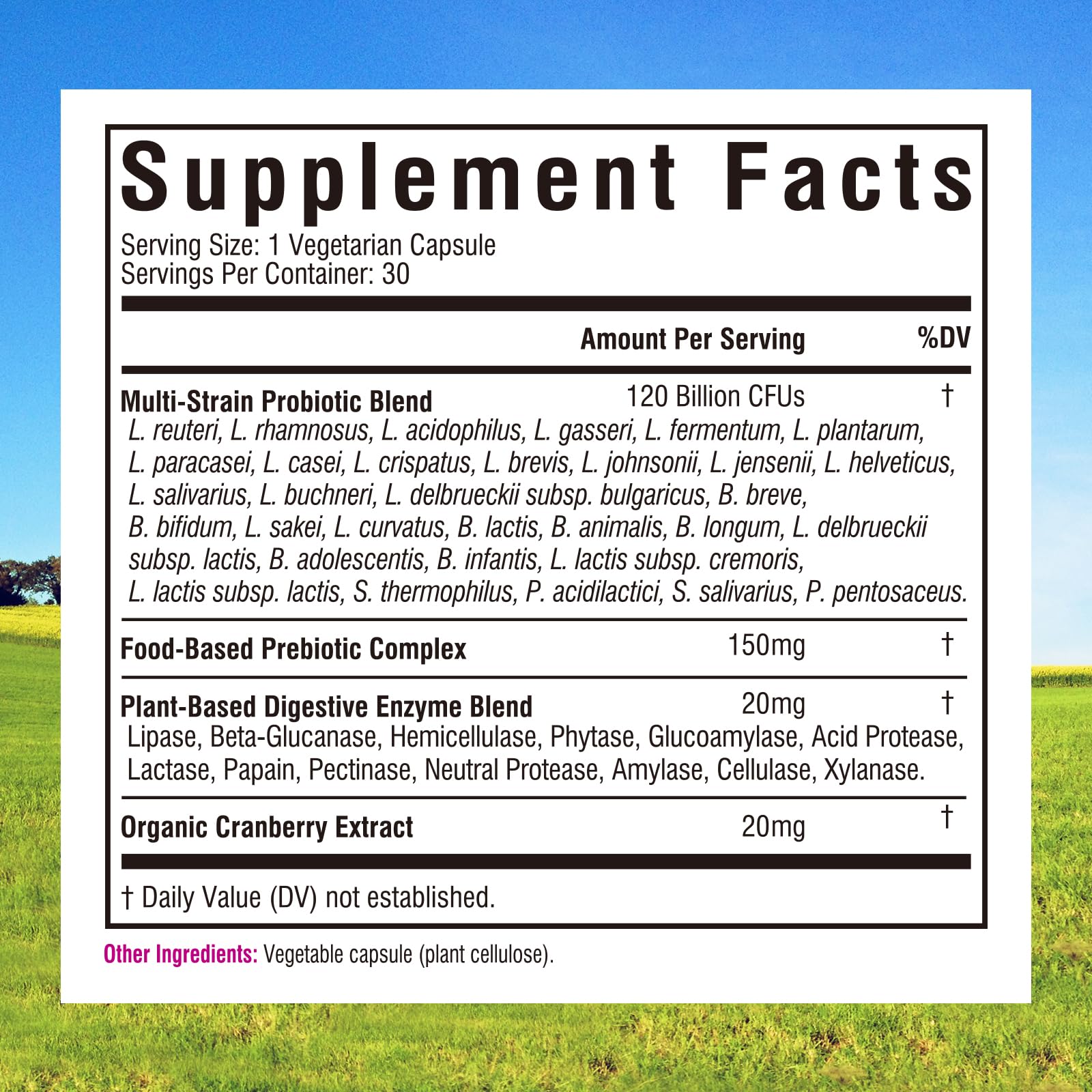 Innate Vitality Women's Once-Daily Probiotics capsule bottle side view