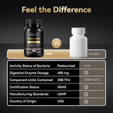 Inner Brightness Akkermansia Probiotic Capsules on a kitchen counter