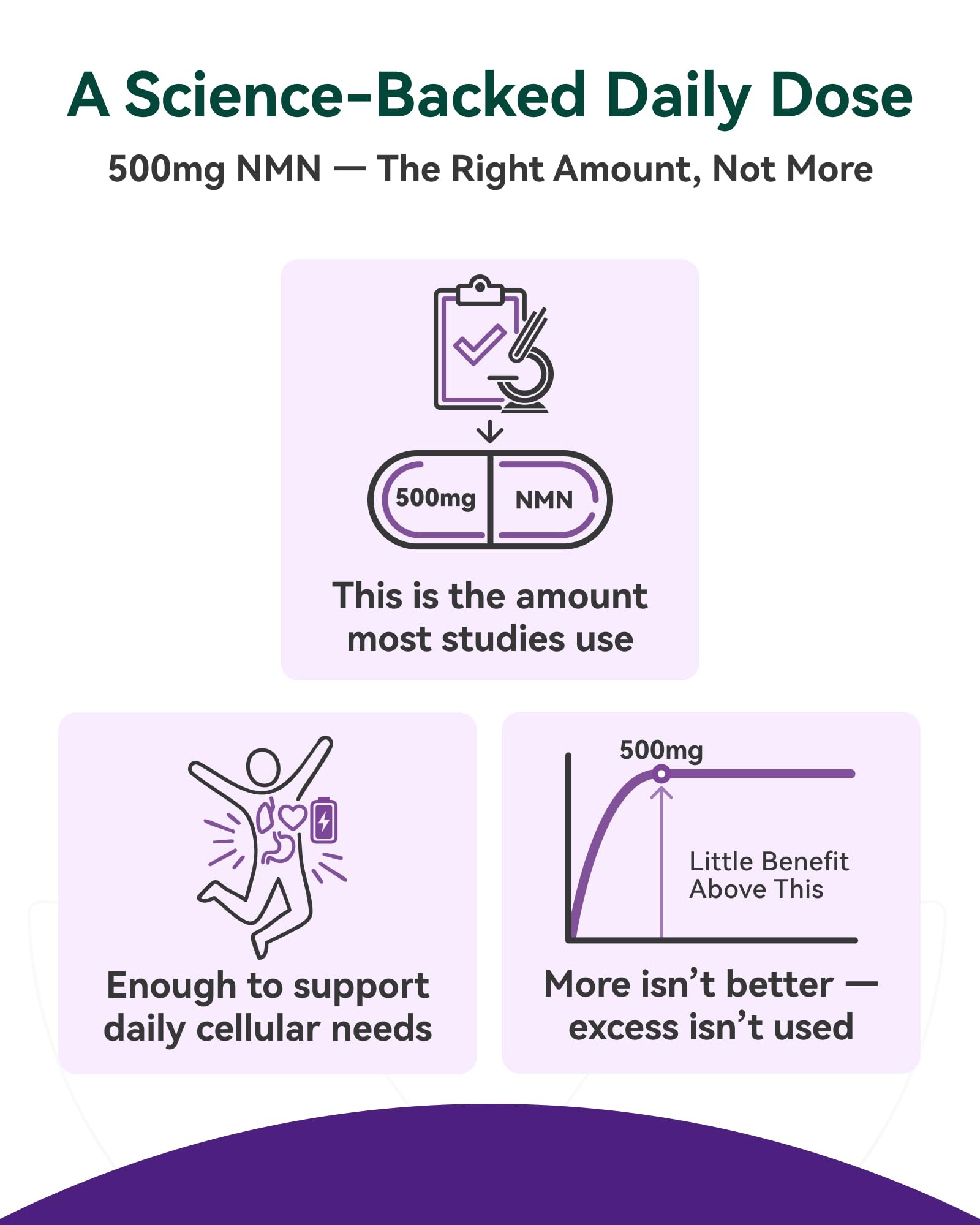 Inner Brightness NMN Supplement 500mg antioxidant blend ingredients