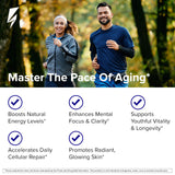 InnoSupps NMN+ 5-Phase NAD+ Longevity System ingredients list