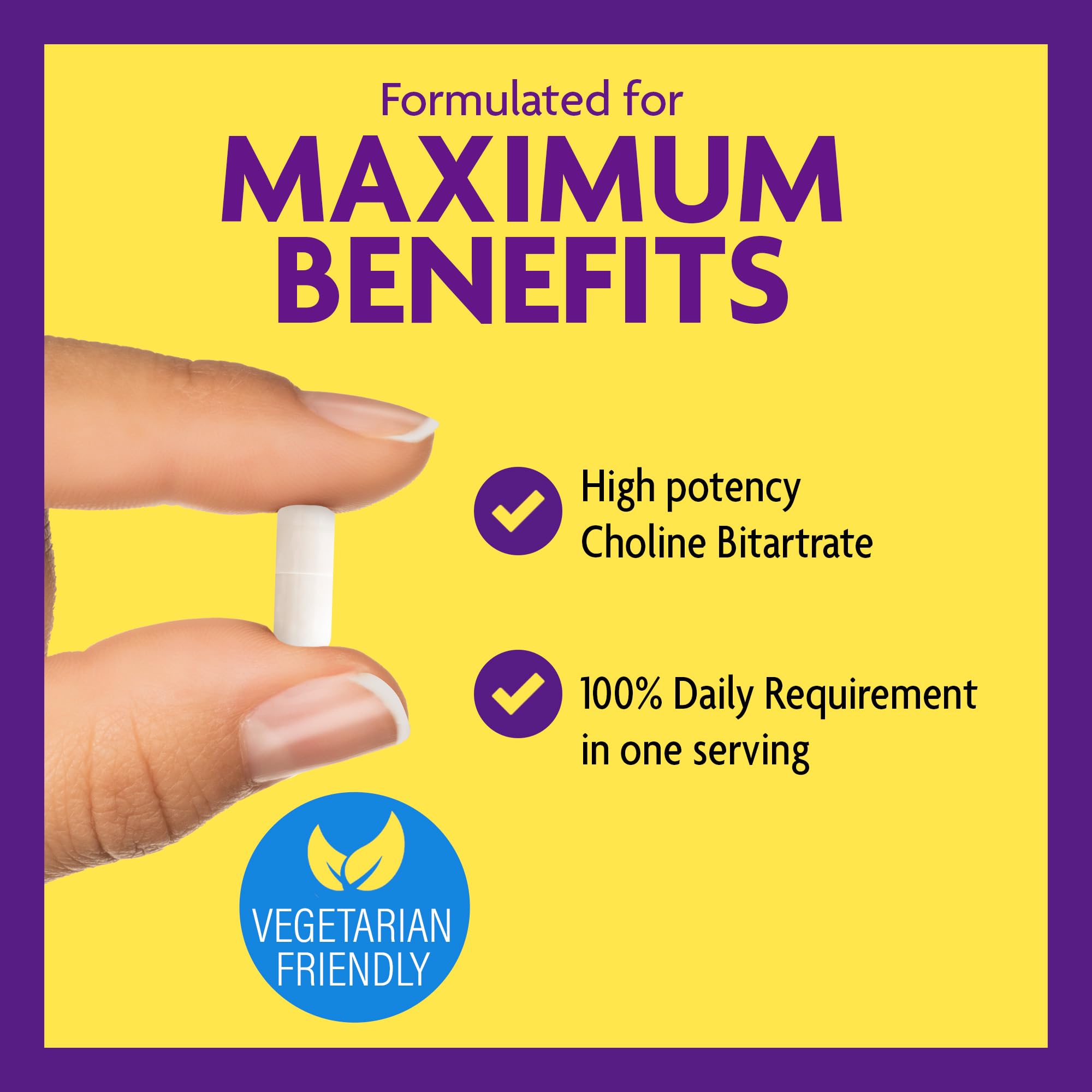 InnovixLabs Choline Bitartrate 132g capsule close-up