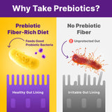 InnovixLabs Prebiotic Fiber Blend 180g scoop for serving