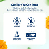 Integral Health Apothecary Eye Support Supplement in a hand
