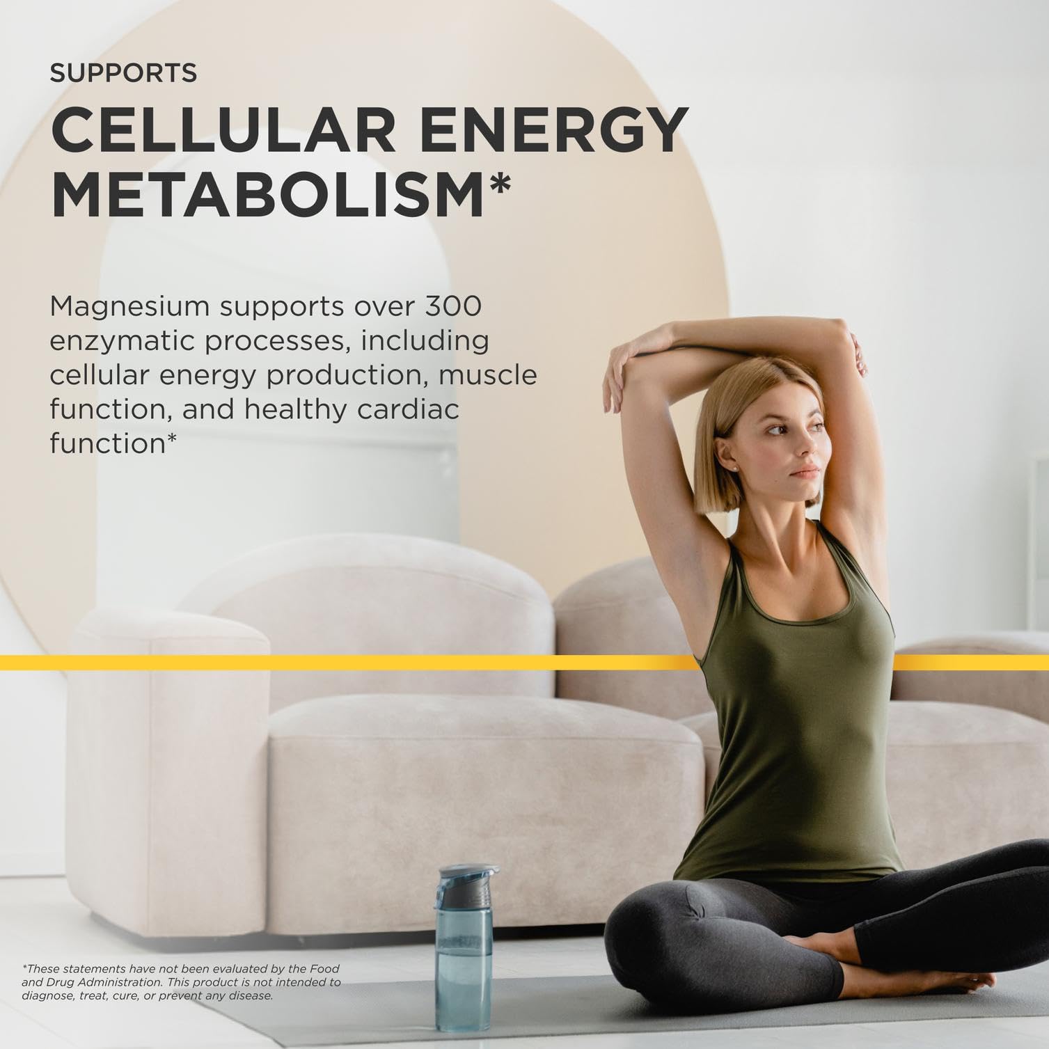 Integrative Therapeutics Magnesium Complex Supplement ingredients list