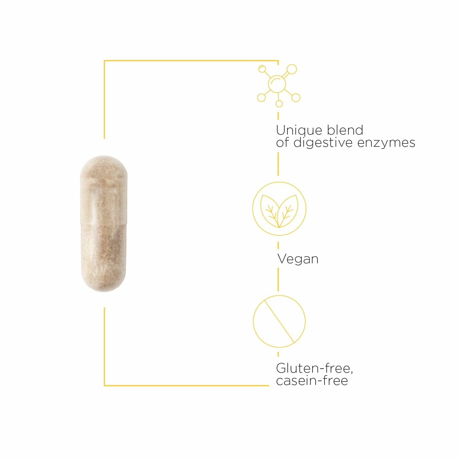Integrative Therapeutics Similase GFCF Multi-Enzyme Supplement ingredients list