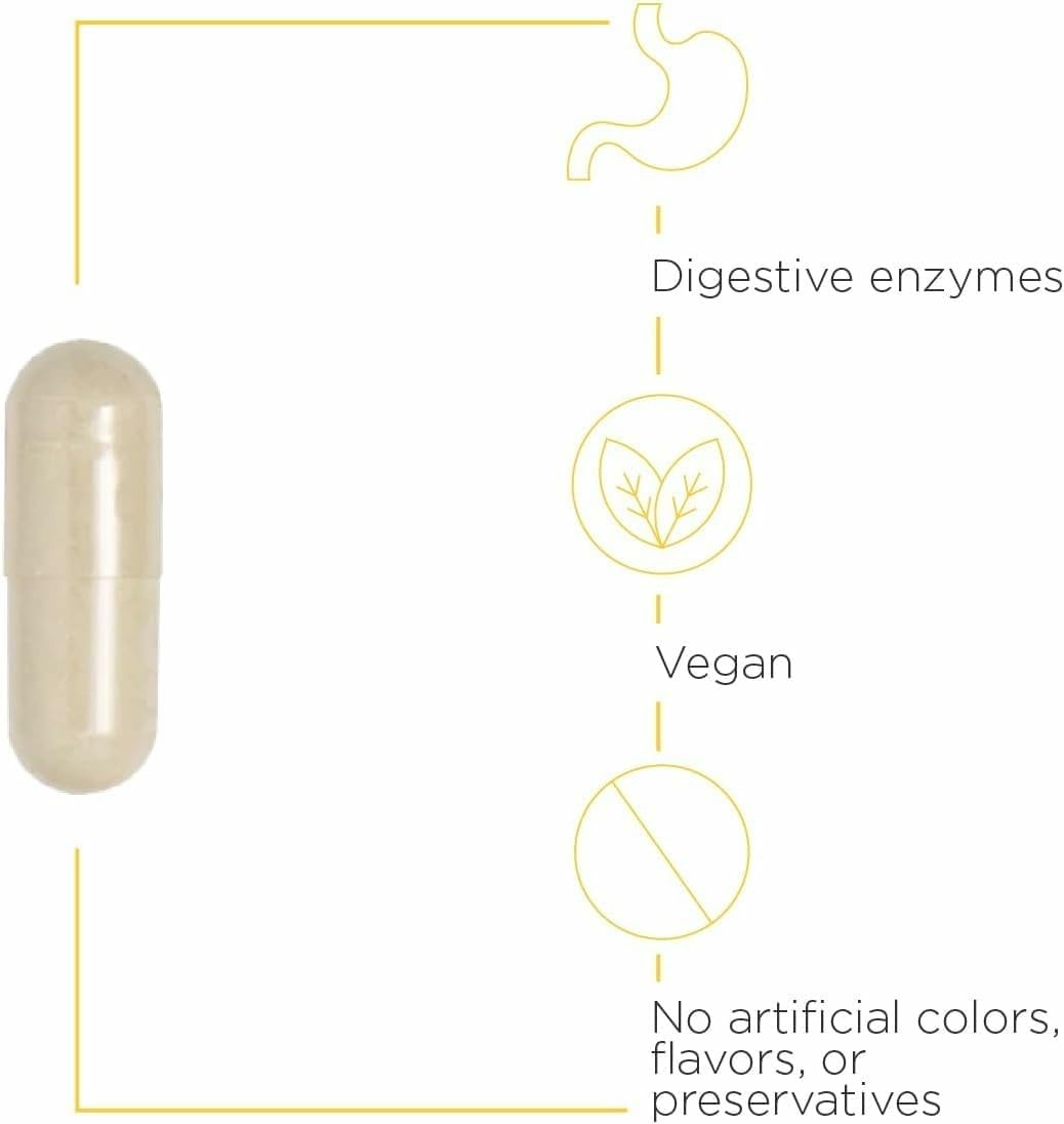Integrative Therapeutics Similase Multi-Enzymes 60g capsule details